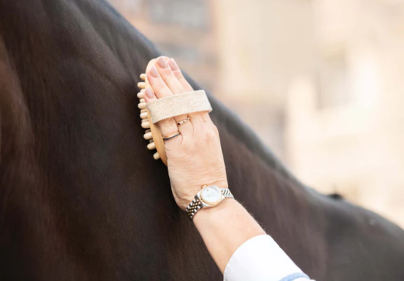 Smart grooming - Borstiq Massage Brush-3